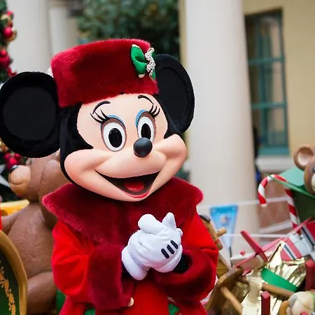 Disneyland 5*